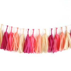 Tissue Tassel Kit - Macaron - Ellie and Piper
